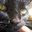 Image of ocelote