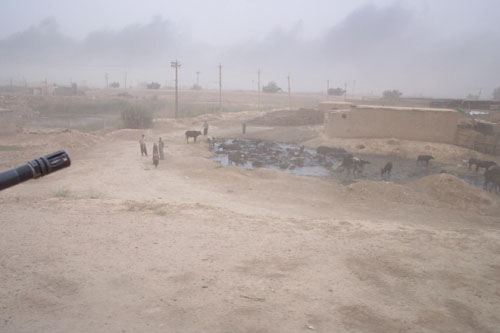 077 - Saddam City, a water buffalo filled water buffalo water pit